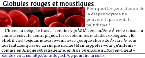 Globules_rouges_et_moustiques