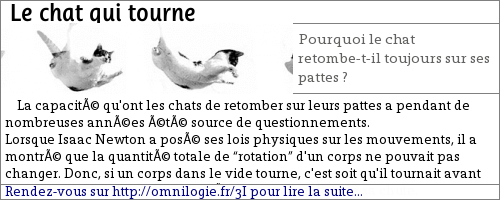 Le_chat_qui_tourne