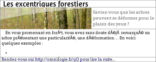 Les_excentriques_forestiers