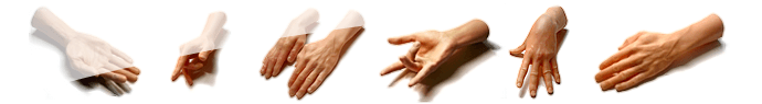 La main humaine...quelle merveille mécanique       (step 1)
