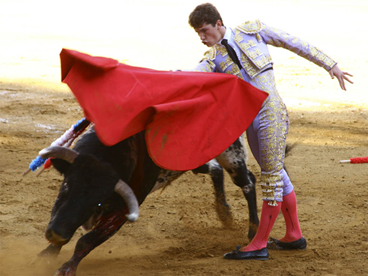 Tor�ro&Taureau