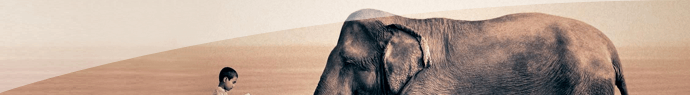 L'éléphant qui ne se trompe avec la gestuelle humaine