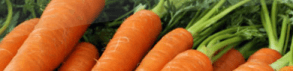 Les carottes sont cuites