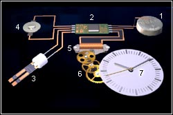 1) Pile fournissant l'énergie 2) Circuit intégré sollicitant le quartz et contrôlant les impulsions vers le moteur pas à pas. 3) Quartz effectuant la division du temps 4) Trimmer régulant la fréquence 5) Moteur, pas à pas transformant les impulsions électrique en force mécanique 6) Rouage activant la minuterie (heures minutes, secondes) 7) Affichage analogique 