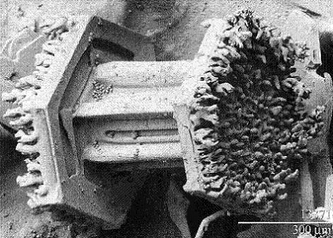 Sur cette photographie, encore au microscope électronique, le cristal est en forme de colonne surmontée de deux plaquettes. 