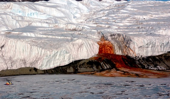 Cascade de sang en Antarctique