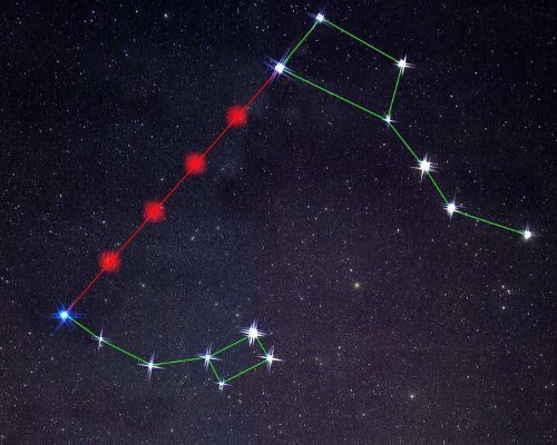petit ours constellation