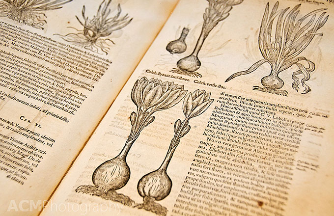 Traité de botanique par Charles de l'Écluse, autrement appelé Carolus Clusius