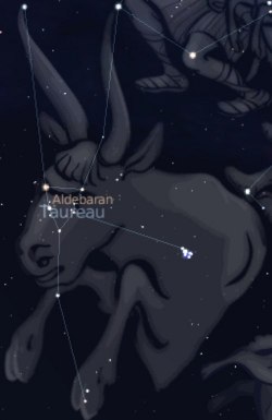 constellation du Taureau