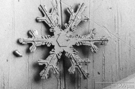 Photographie d'un cristal de neige, au microscope électronique. 