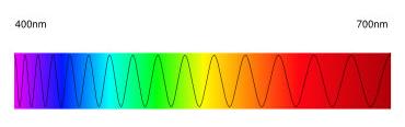 Les valeurs en nm (nanomètres) correspondent aux longueurs d'onde (la longueur d'onde est la distance séparant deux « bosses » de l'onde). 