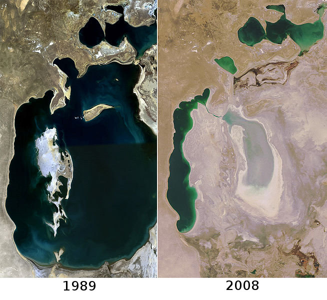 Photo satellite : différence de surface entre 89 et 08