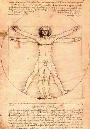 l'homme de Vitruve de Léonard de Vinci : le corps humain parfait